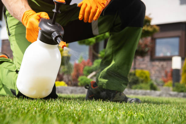 Best Seasonal Pest Control  in Troy, MI